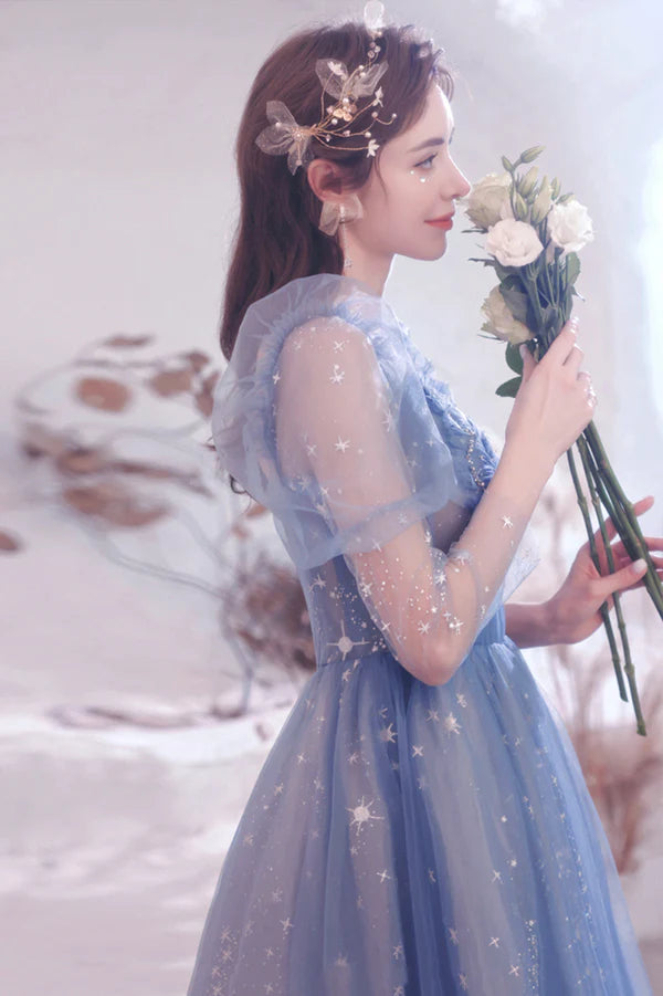 Blue Tulle Long Sleeve Prom Dress A-Line Long Sleeve Tulle Evening Party Dress